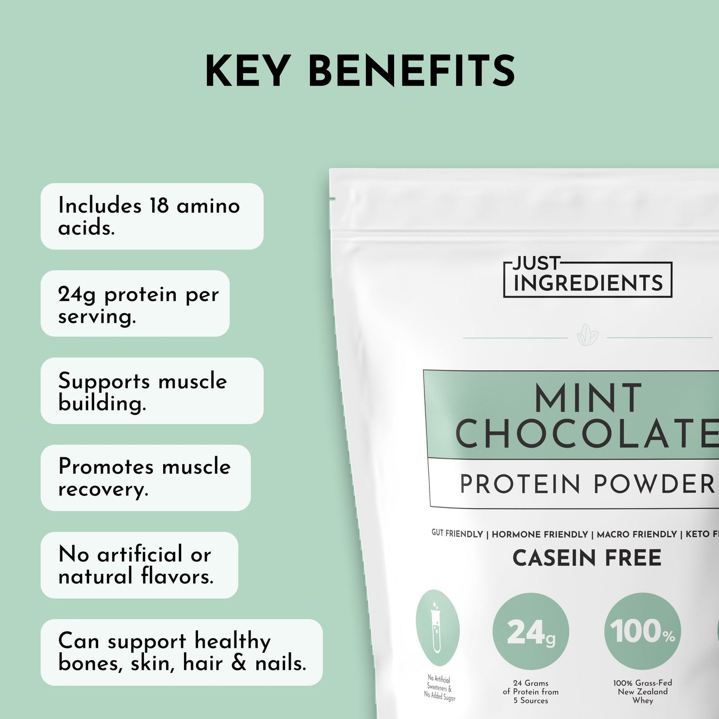 Mint Chocolate Protein Powder - Trending Wellness Store