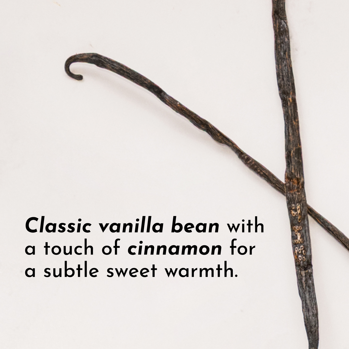 Vanilla Bean Protein Powder - Trending Wellness Store