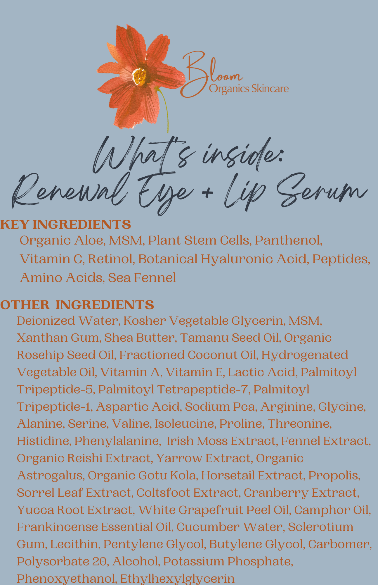 Renewal Eye + Lip Serum - Trending Wellness Store