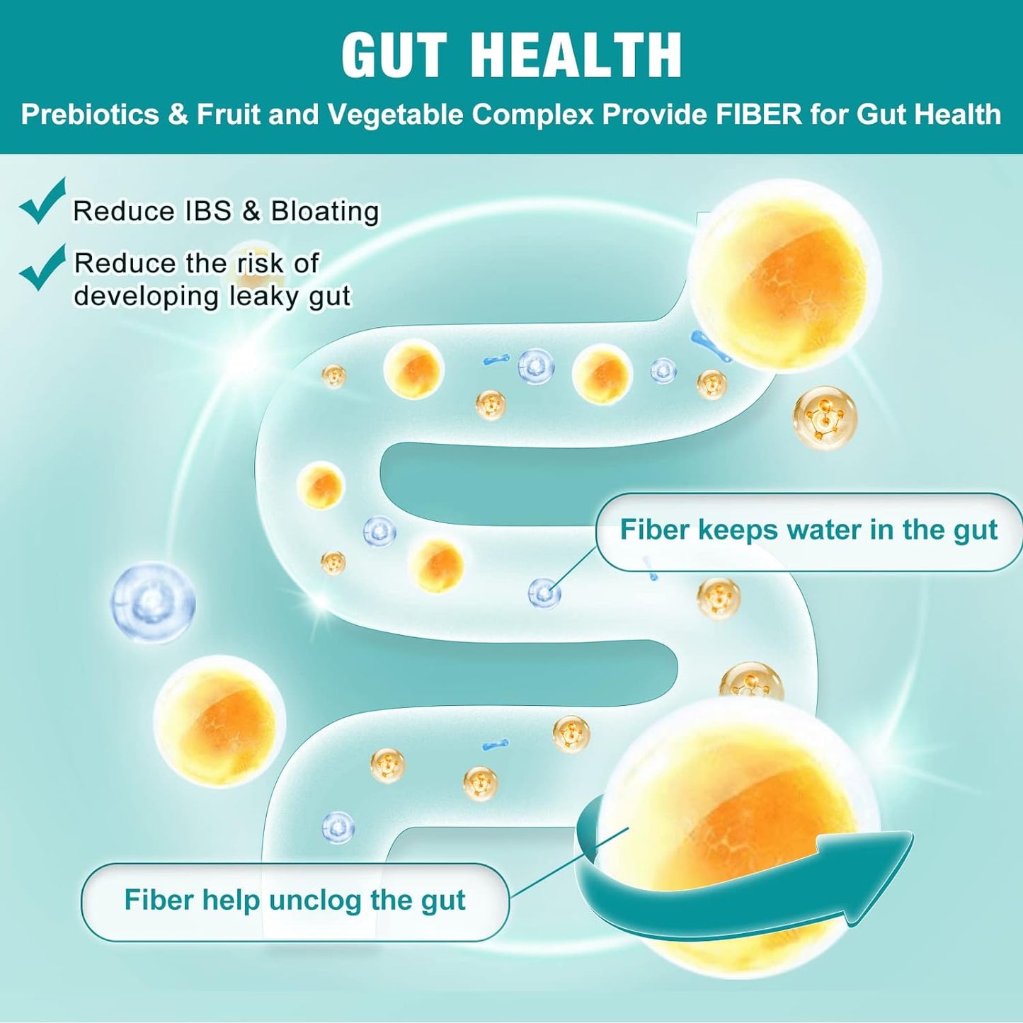 3-in-1 Digestive Health Probiotics, 100 Billion CFUs, 200mg - Trending Wellness Store