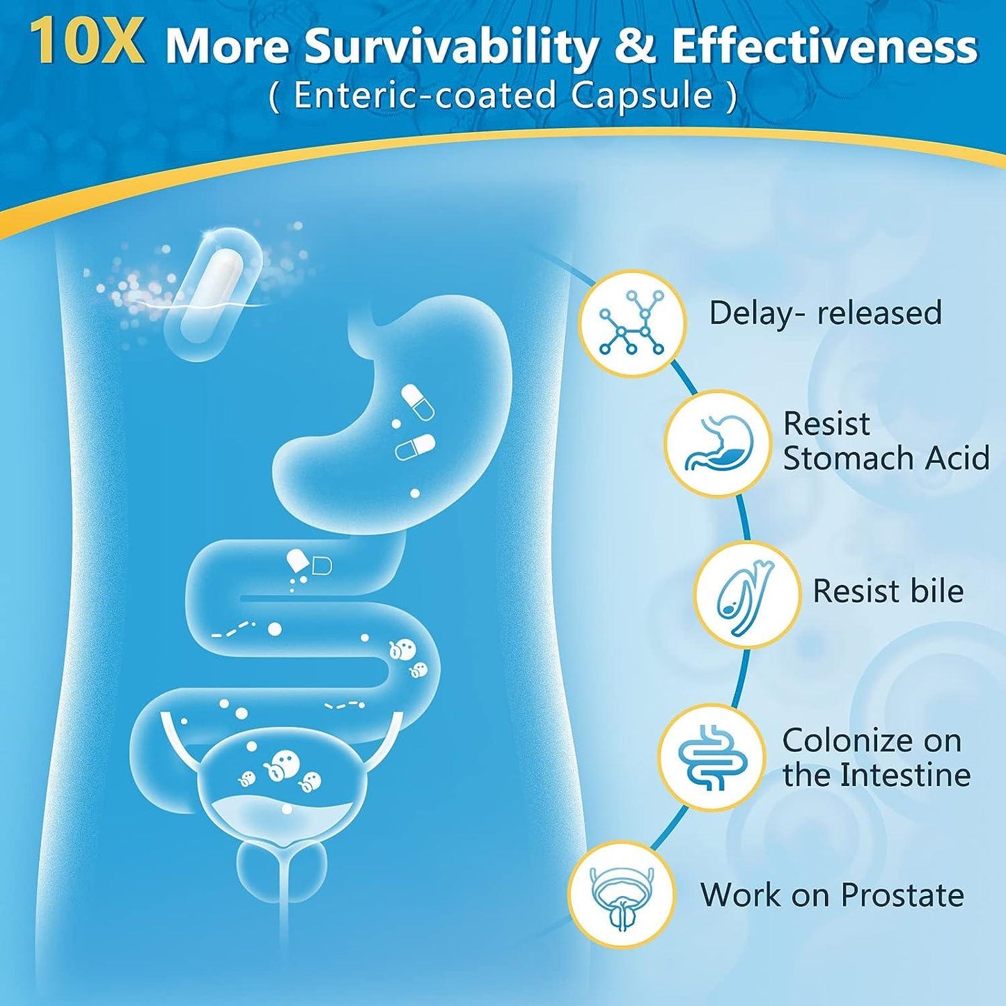 3-in-1 Digestive Health Probiotics, 100 Billion CFUs - Trending Wellness Store