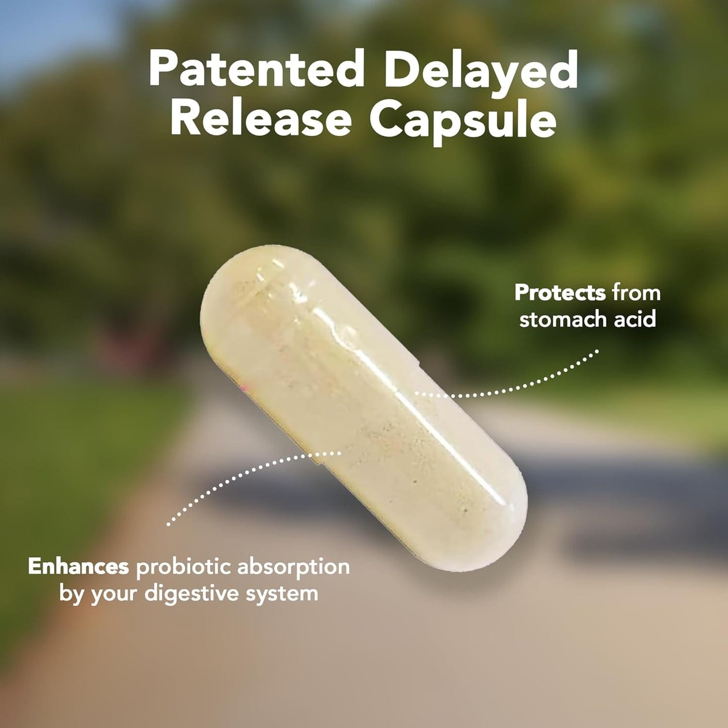 Pro-100 Probiotic - Trending Wellness Store