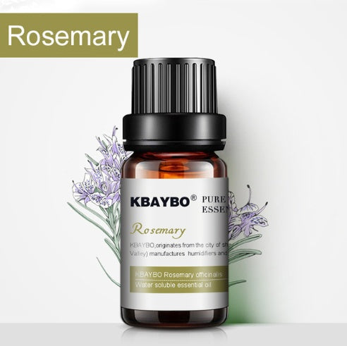 Botanical Aromatherapy Essential Oil - Trending Wellness Store