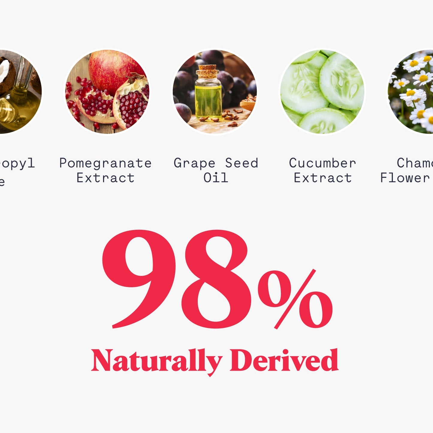 Whole Body Deodorant Wipes - Trending Wellness Store