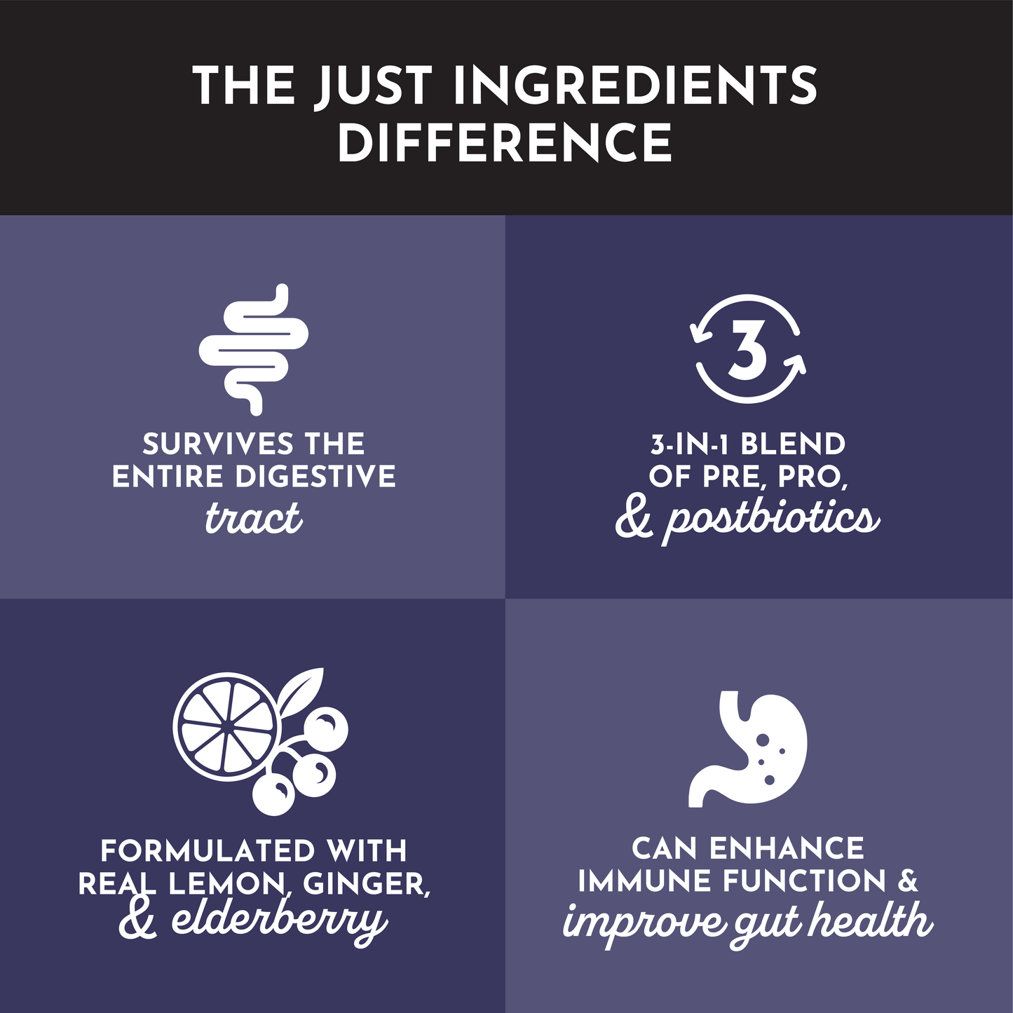 Elderberry Lemonade 3-In-1 Probiotic Complex - Trending Wellness Store
