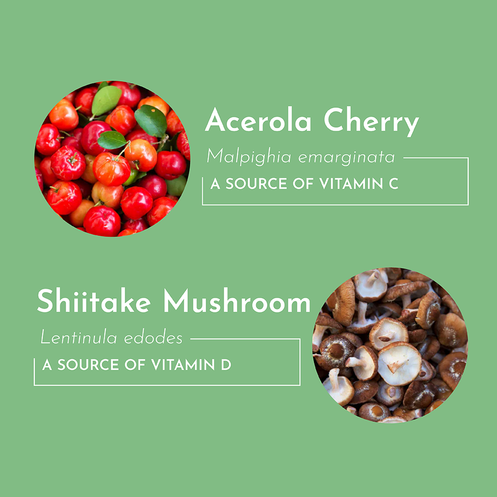 Multivitamin Supplement - Trending Wellness Store