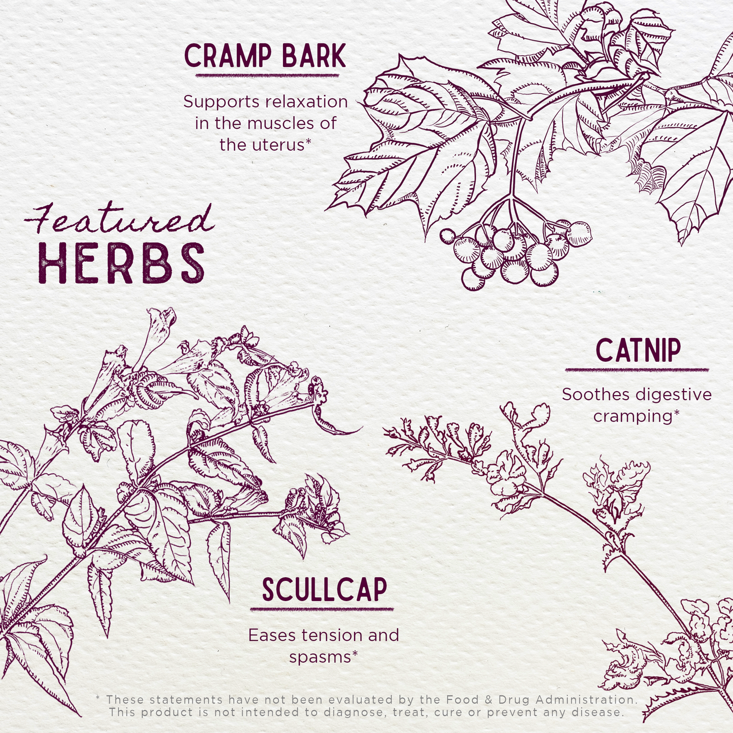 Cramp Release Menses Soother - Trending Wellness Store