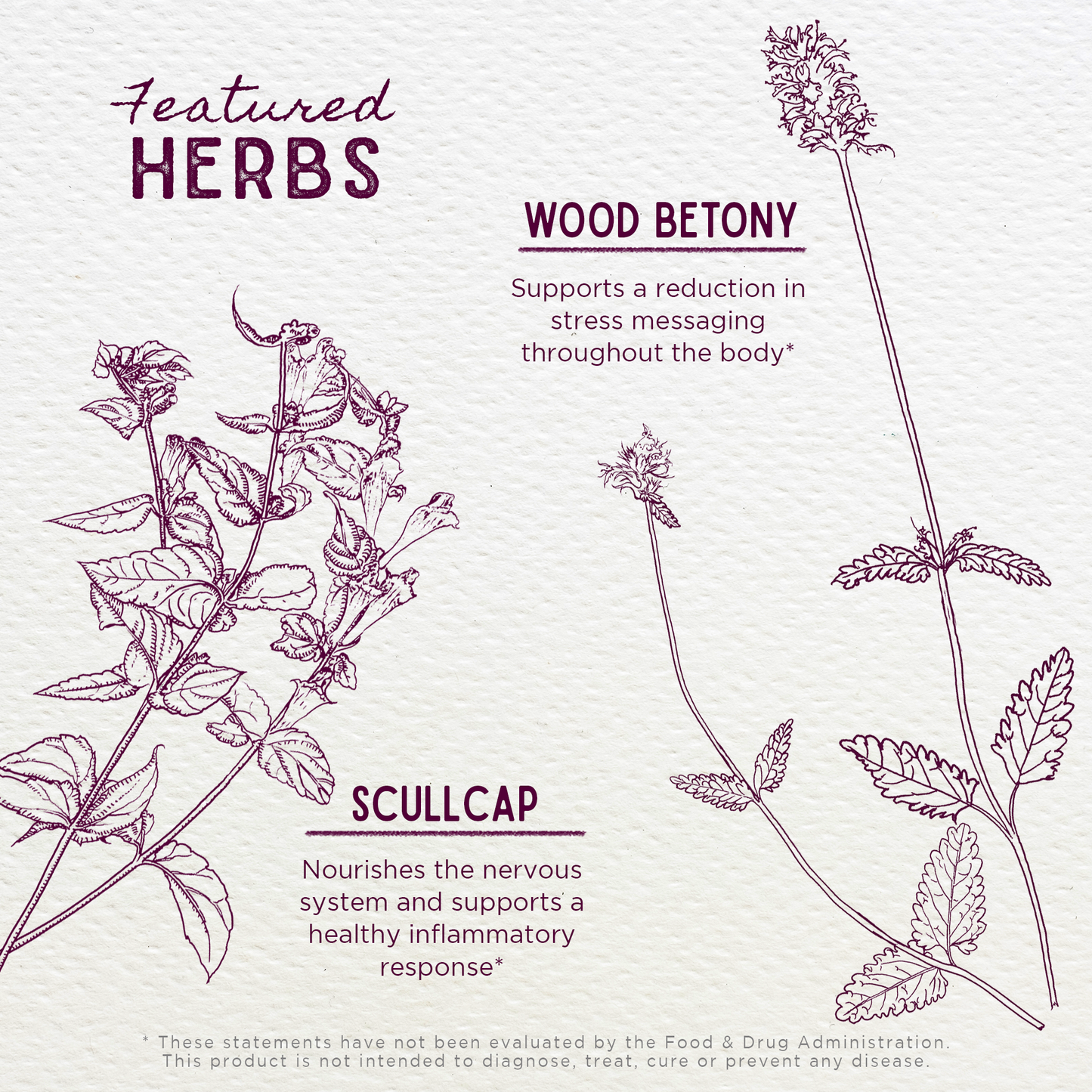 Serious Relaxer & Muscle Tension - Trending Wellness Store