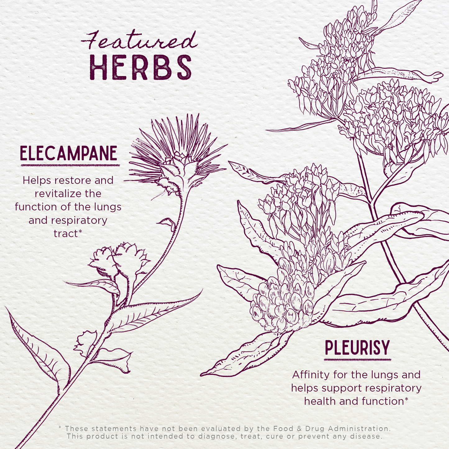 Serious Cough Soothing & Quieting - Trending Wellness Store