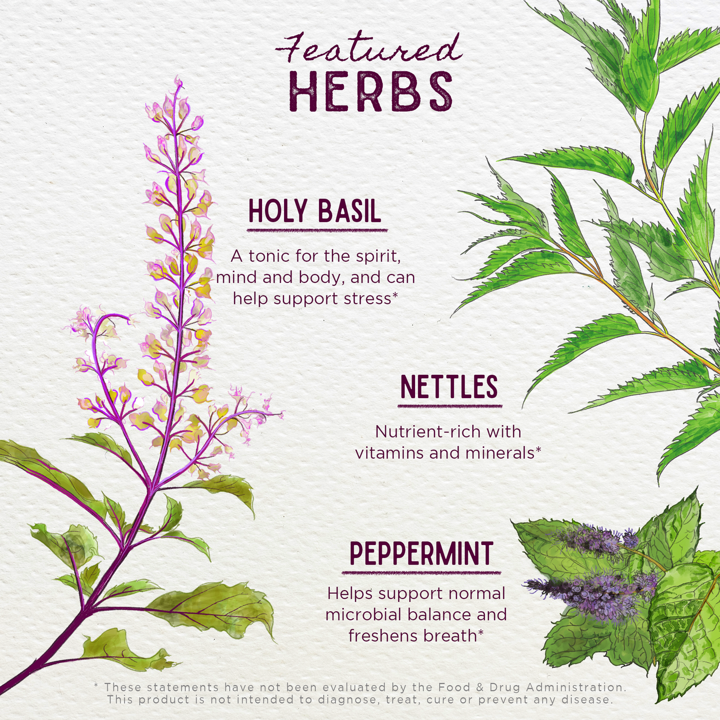 Chlorophyll & Friends - Trending Wellness Store