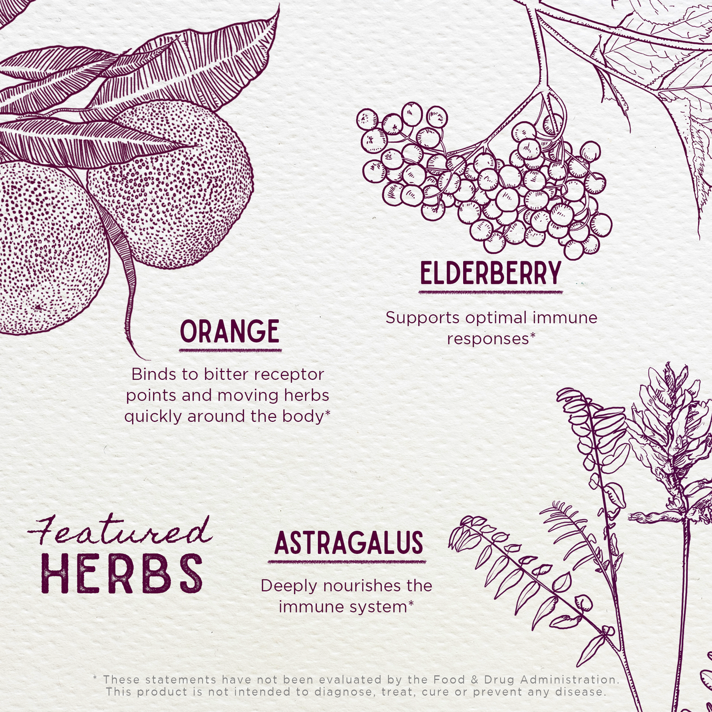 Elderberry Syrup Everyday Immunity for Kids - Trending Wellness Store