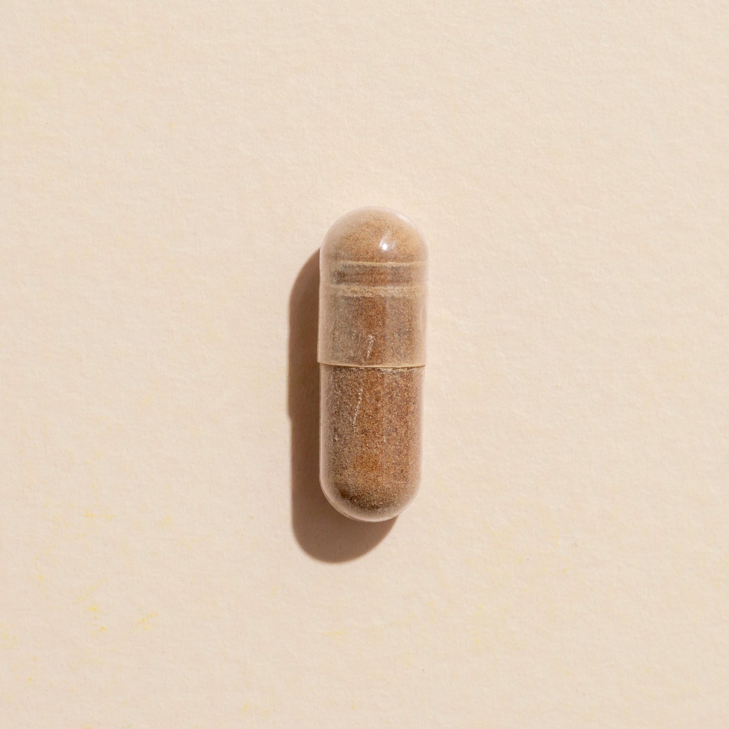 Brain Boost Herbal Supplement - 120 Capsules - Trending Wellness Store