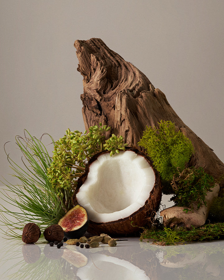 Body Butter - Trending Wellness Store