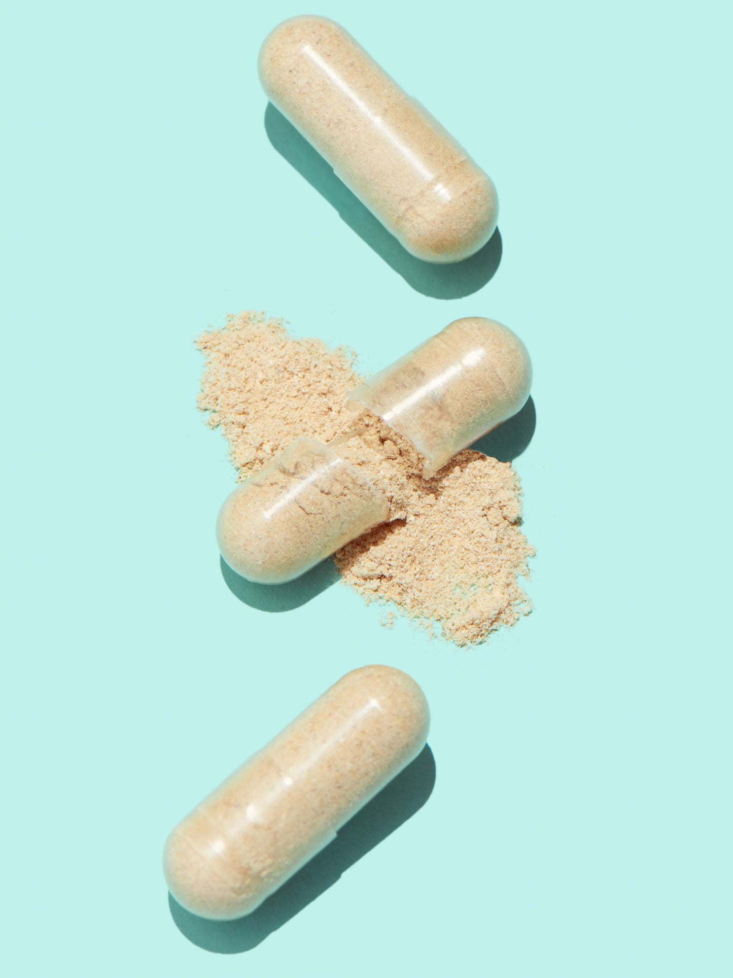 gut health probiotic+ - Trending Wellness Store