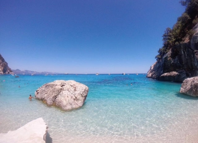 Herb Sardinia Organic Myrtle & Juniper Liquid Soap 250 ml - Trending Wellness Store