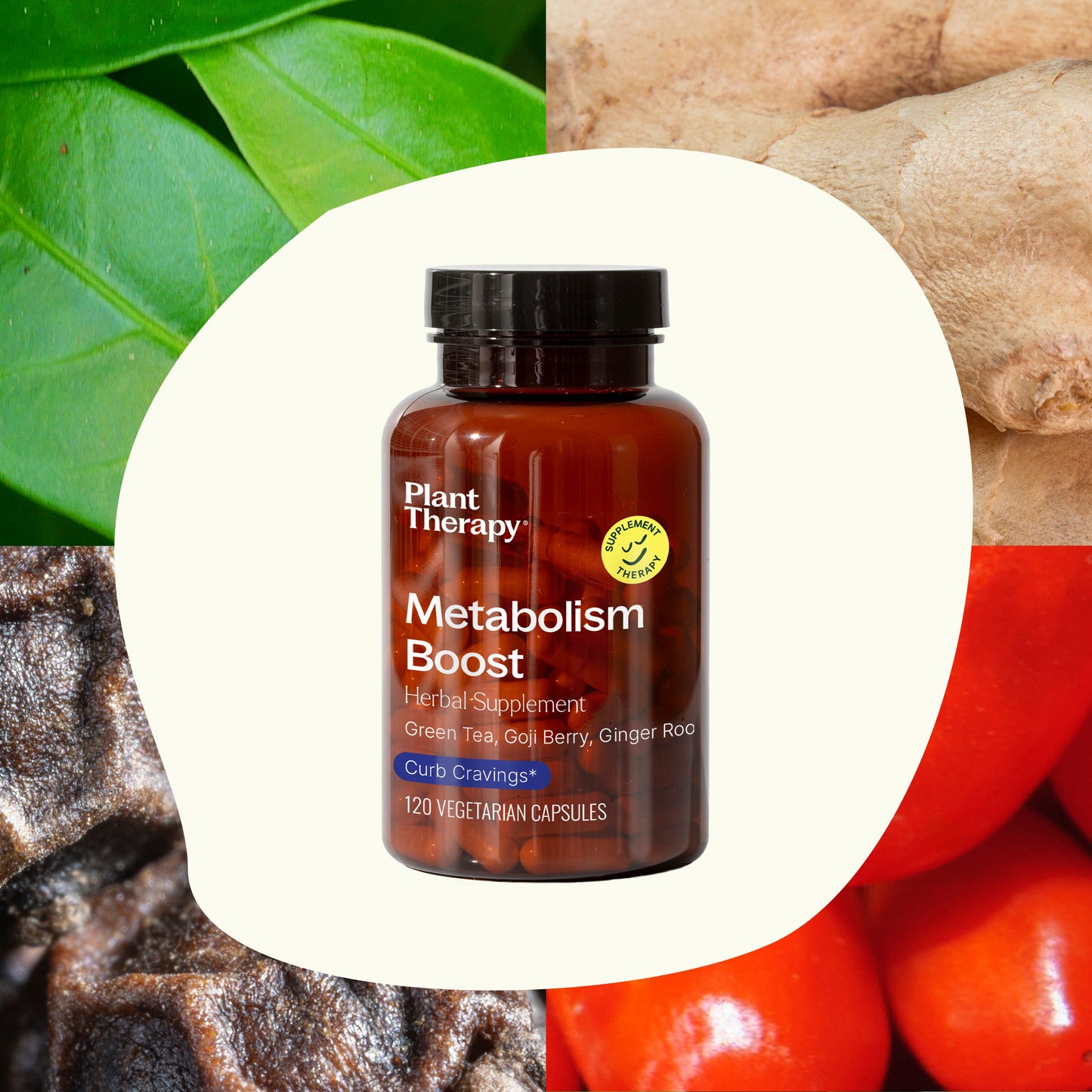 Metabolism Boost Herbal Supplement - 120 Capsules - Trending Wellness Store