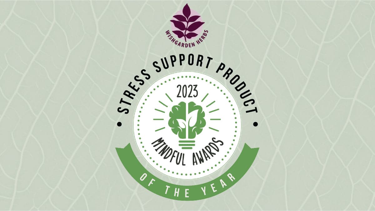 Deep Stress Daily Calm - Trending Wellness Store
