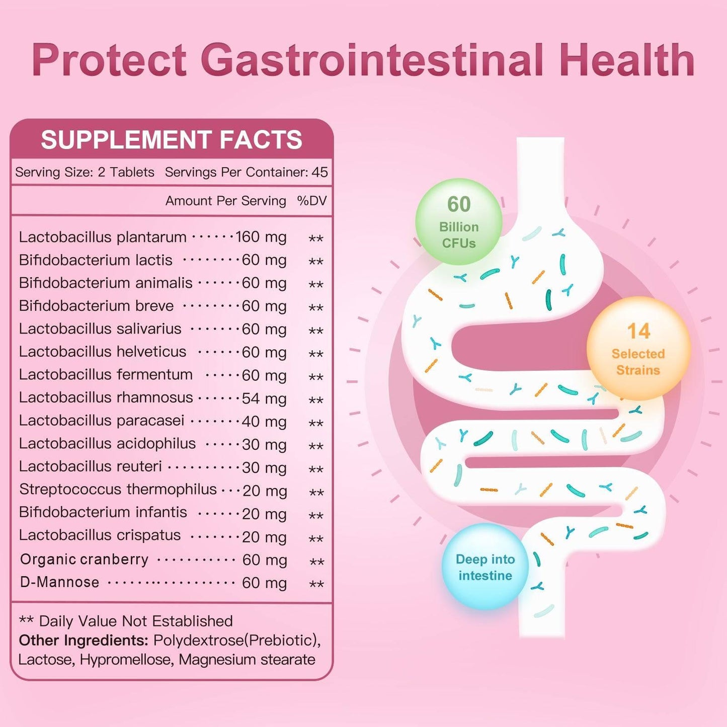 Women’s Probiotics for Vaginal & Urinary Health, 60 Billion CFUs - Trending Wellness Store