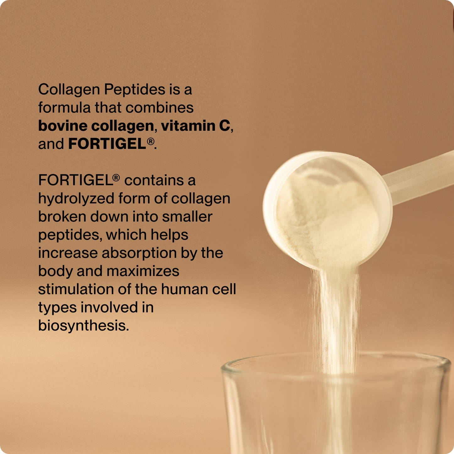 Collagen Peptides 10-Travel Packs - Trending Wellness Store