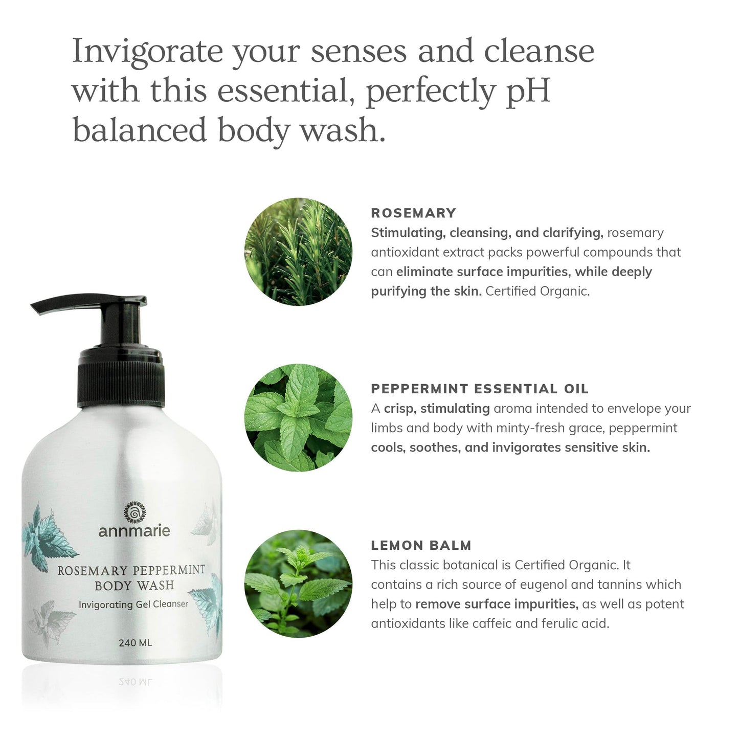 Rosemary Peppermint Hand & Body Wash (240ml)- Collective - Trending Wellness Store