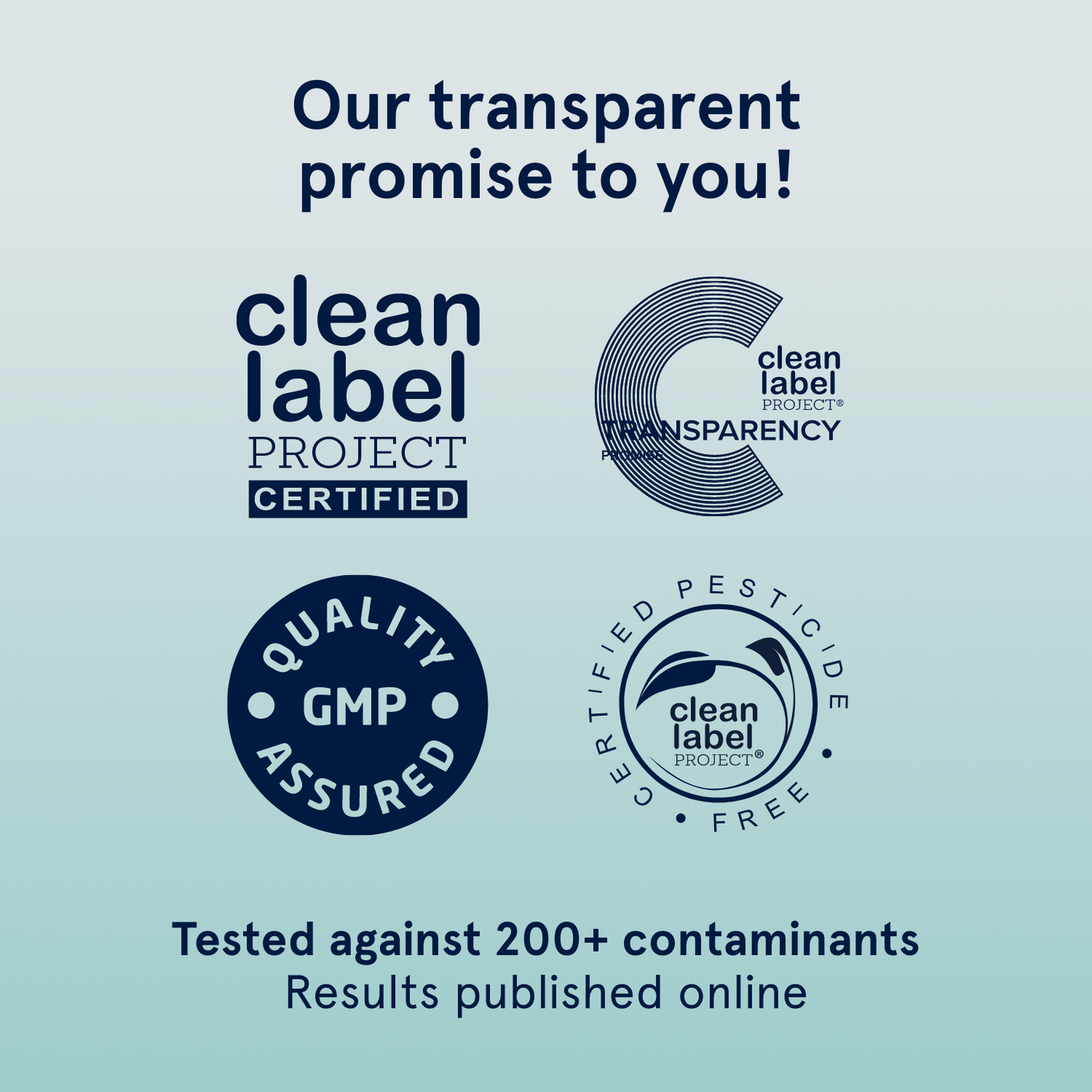 C+ - Creatine+ Performance Support - Trending Wellness Store