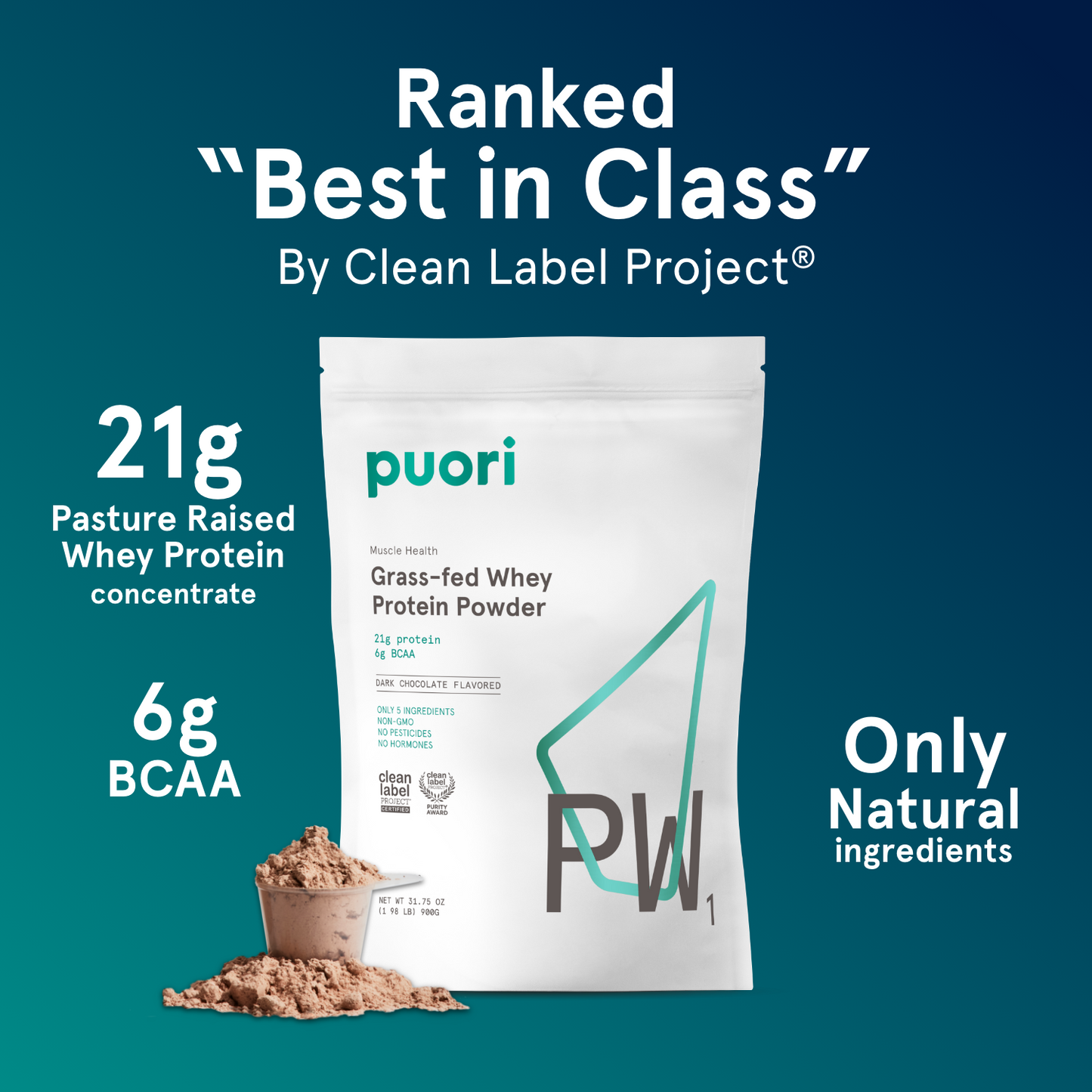 PW1 - Whey Protein with Dark Chocolate - Trending Wellness Store