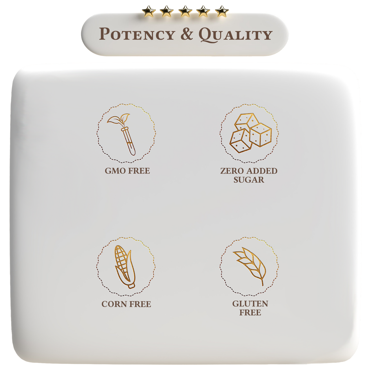 Elderberry, Zinc and Vitamin C Formula - Trending Wellness Store