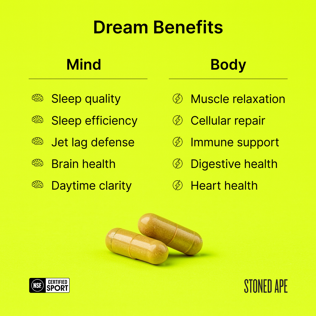Dream: P.M. Nootropic & Sleep Aid for Recovery - Trending Wellness Store