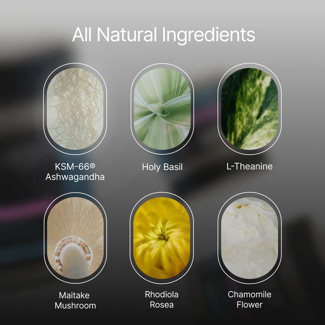 ZenX: Mood Support Nootropic - Trending Wellness Store
