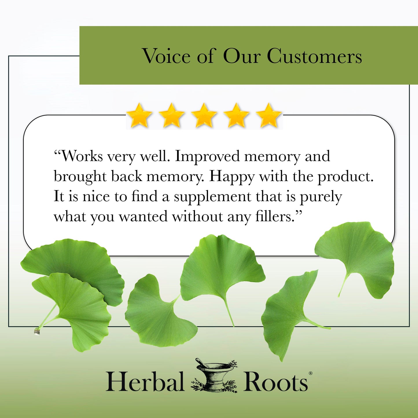 Organic Ginkgo Biloba - Trending Wellness Store