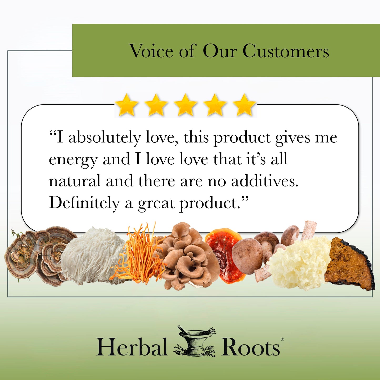 Organic Mushrooms Blend - Trending Wellness Store