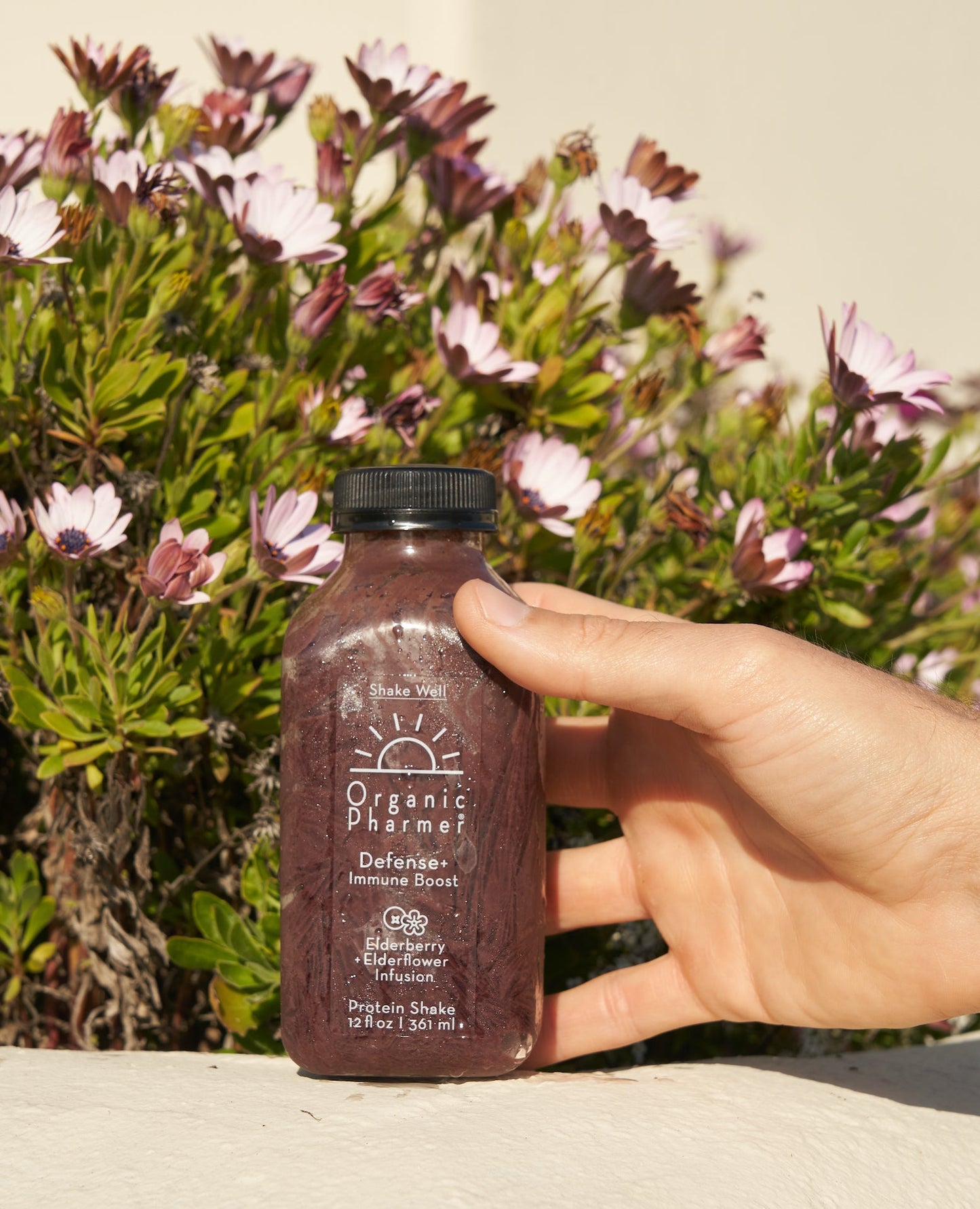 Defense+ Protein Shake Packs - Wellness Boosters - Trending Wellness Store