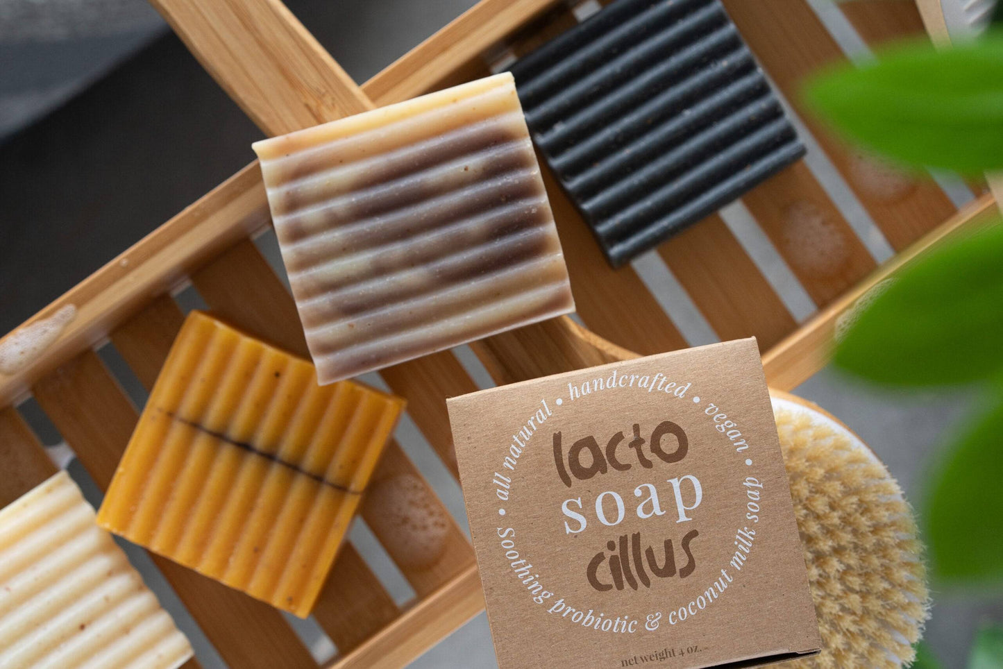 Probiotic Bar Soap - Trending Wellness Store