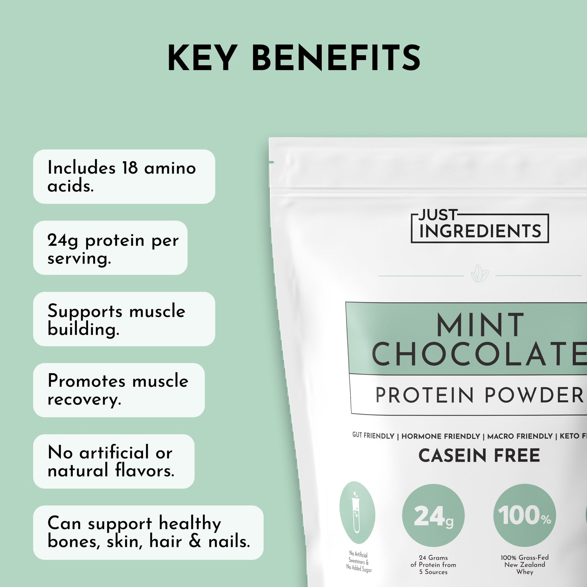 Mint Chocolate Protein Powder - Trending Wellness Store