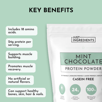 Mint Chocolate Protein Powder - Trending Wellness Store
