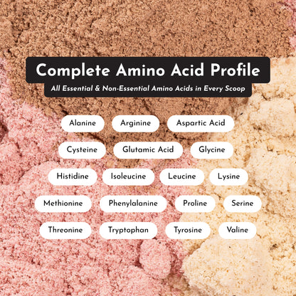 Coconut Chocolate Protein Powder - Trending Wellness Store