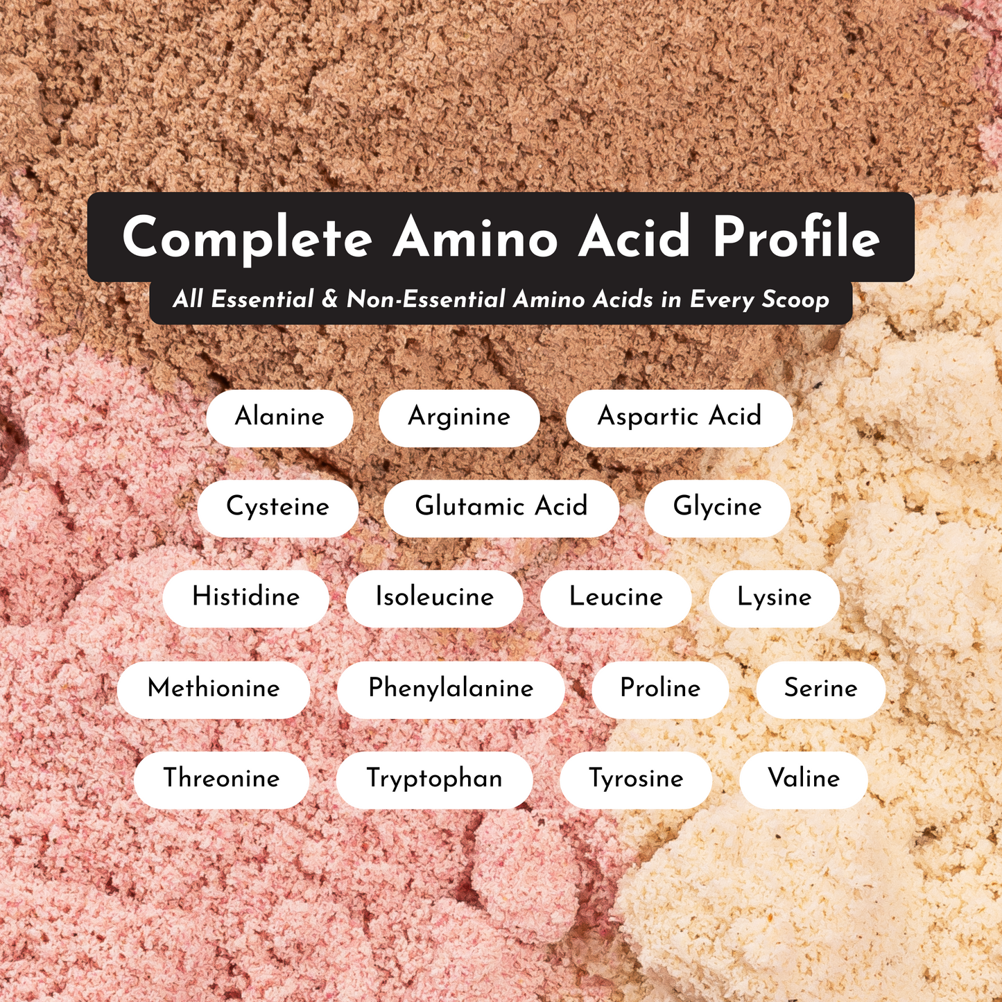 Chocolate Protein Powder - Trending Wellness Store