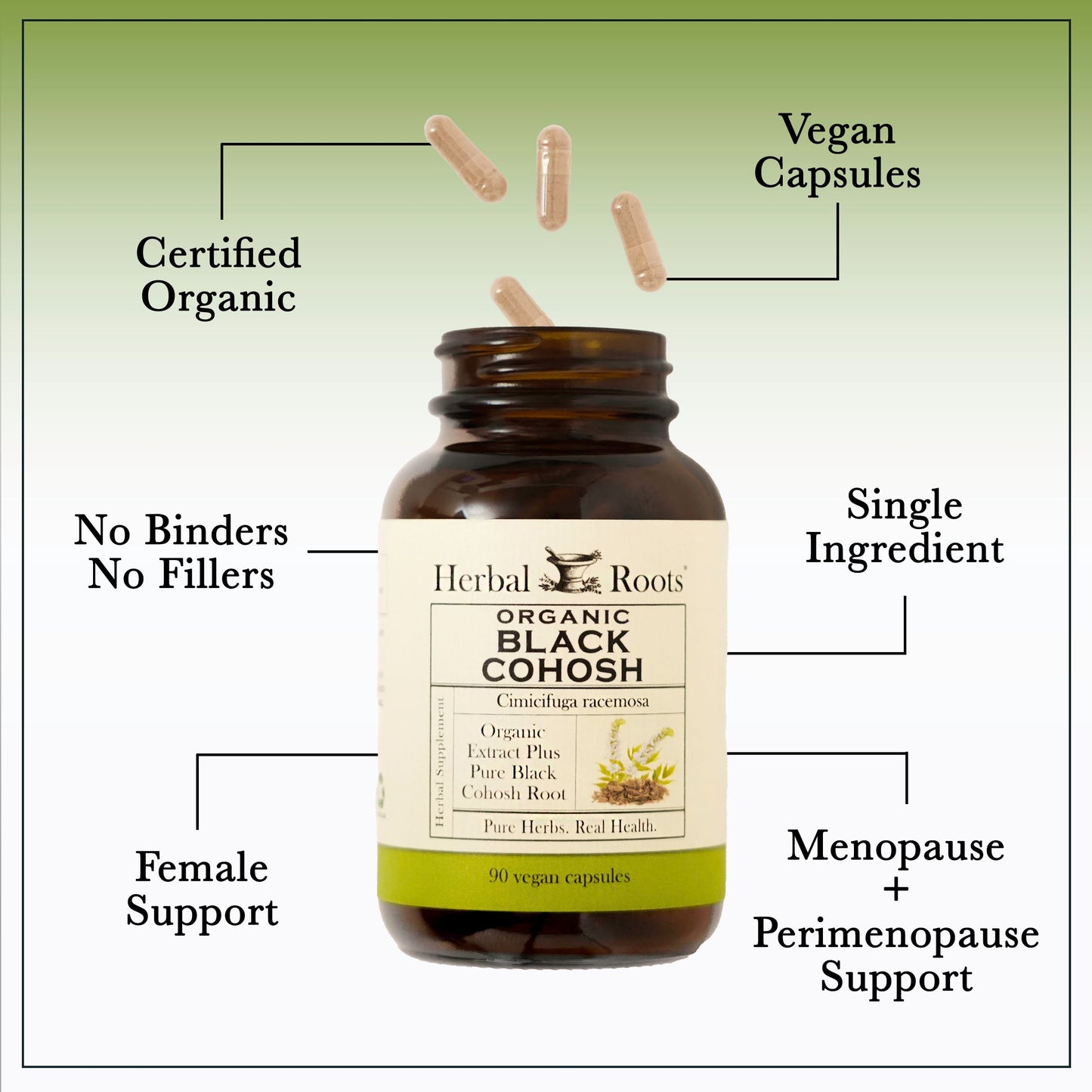 Organic Black Cohosh - Trending Wellness Store