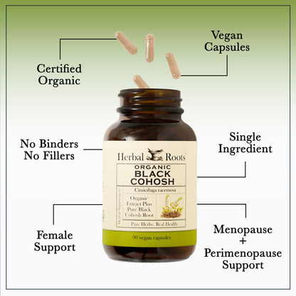 Organic Black Cohosh - Trending Wellness Store