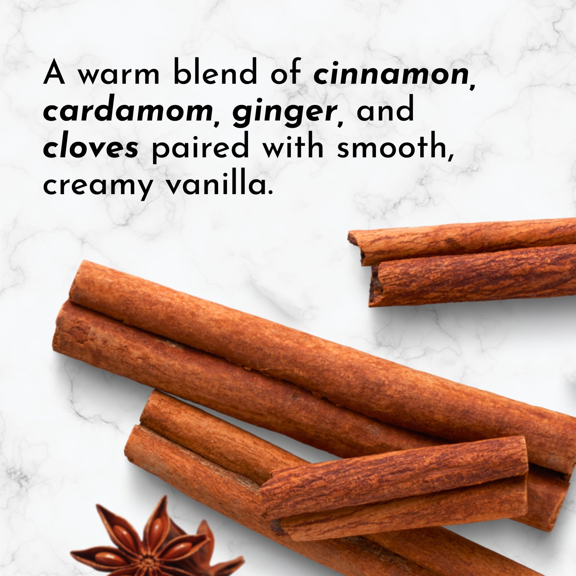 Chai Protein Powder - Trending Wellness Store