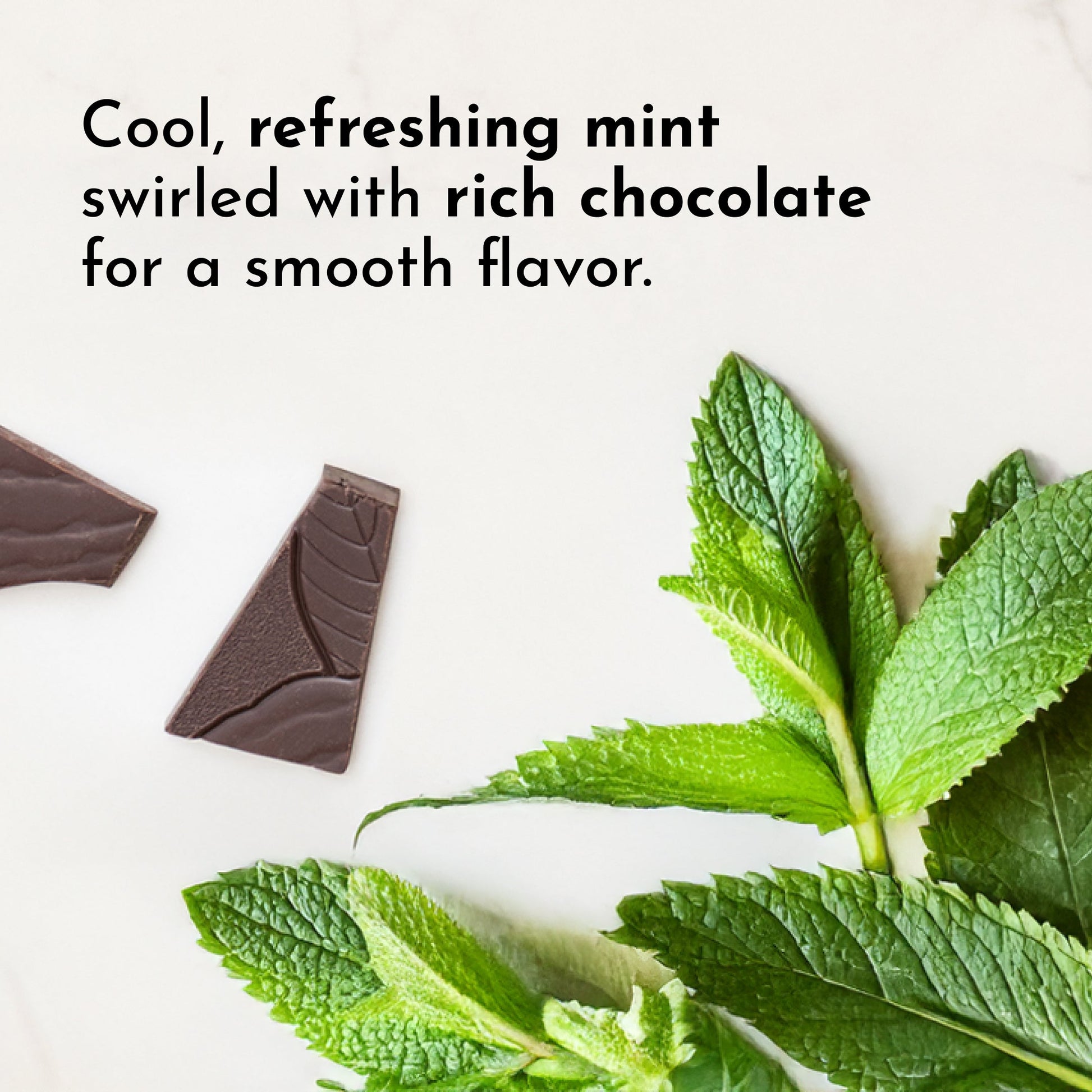 Mint Chocolate Protein Powder - Trending Wellness Store