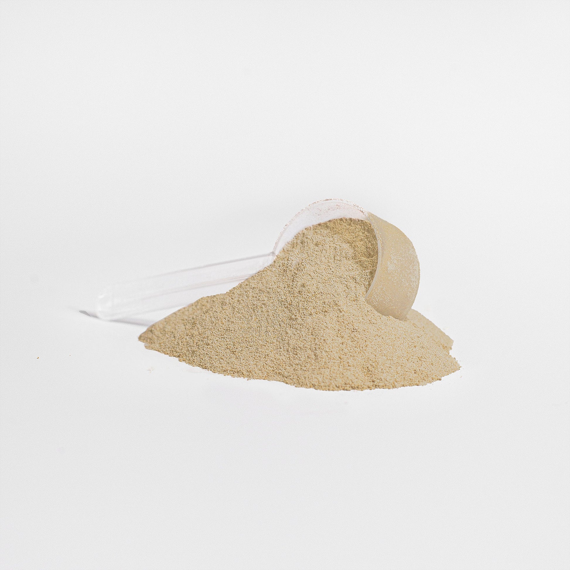 Advanced 100% Whey Protein Isolate (Vanilla) - Trending Wellness Store
