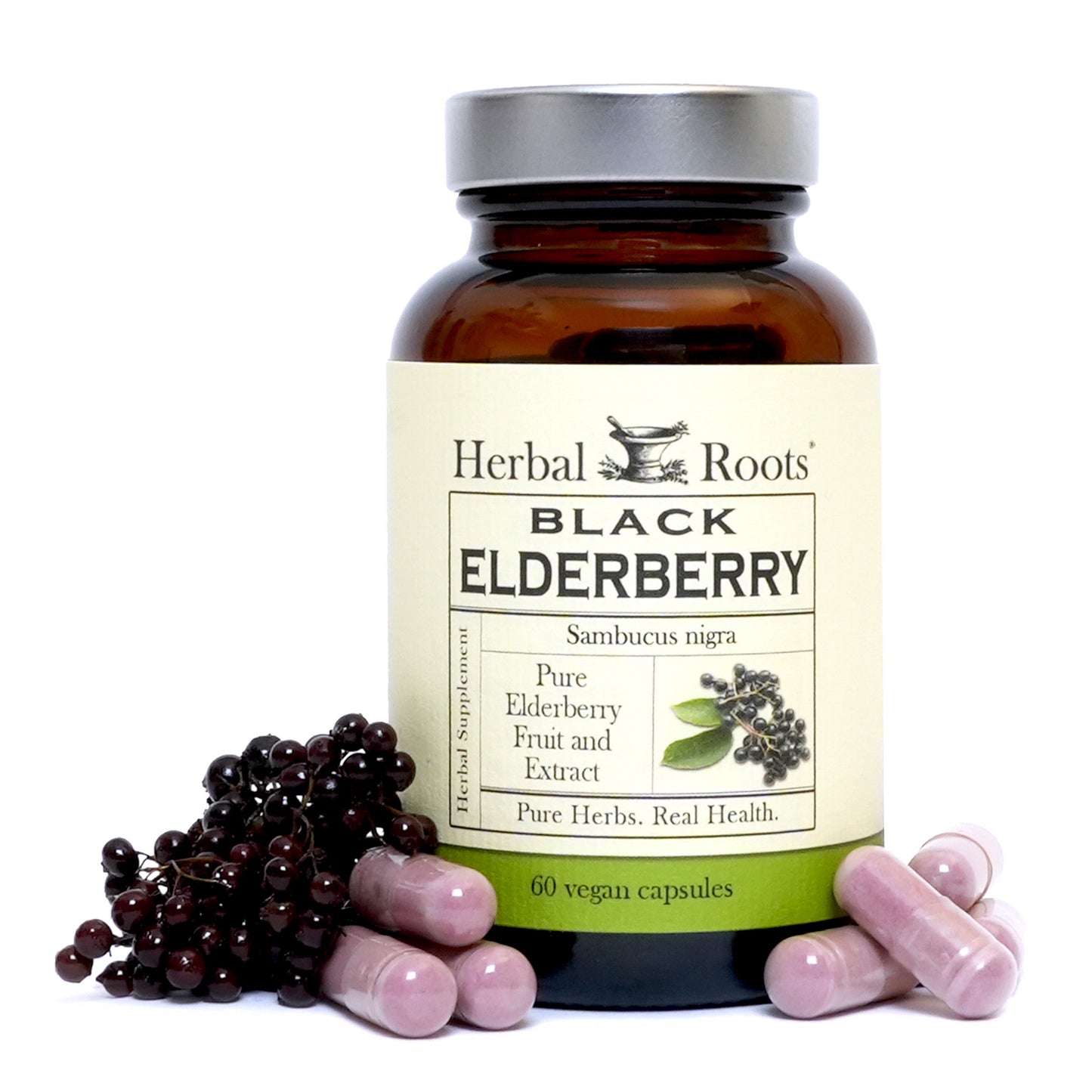 Black Elderberry - Trending Wellness Store