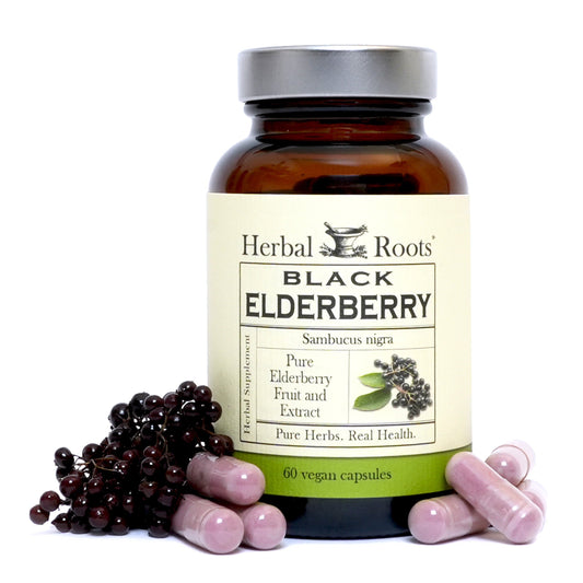 Black Elderberry - Trending Wellness Store