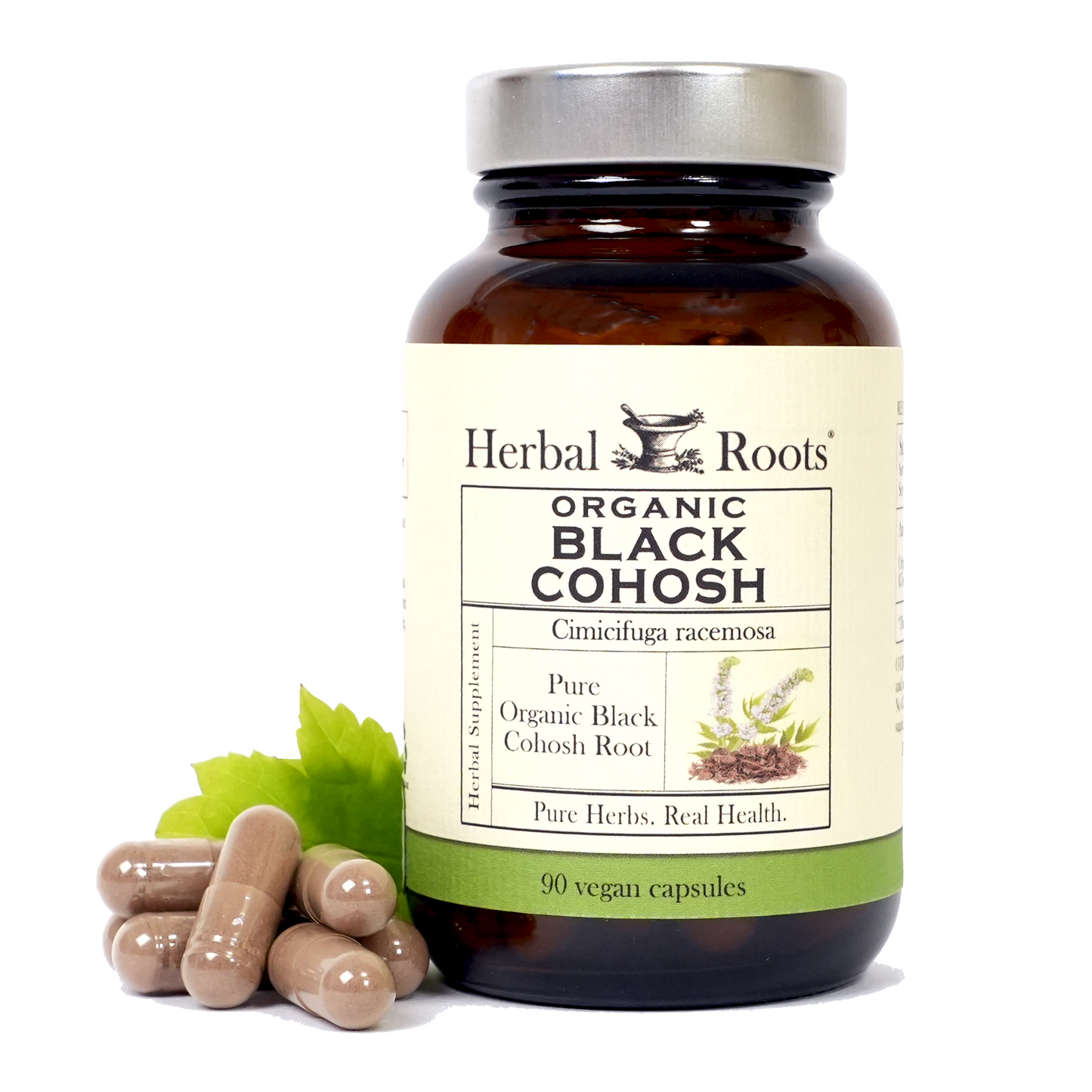 Organic Black Cohosh - Trending Wellness Store