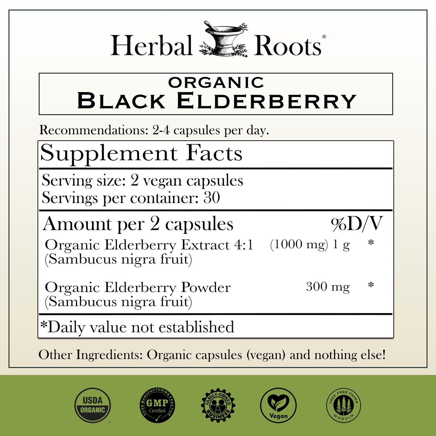 Black Elderberry - Trending Wellness Store