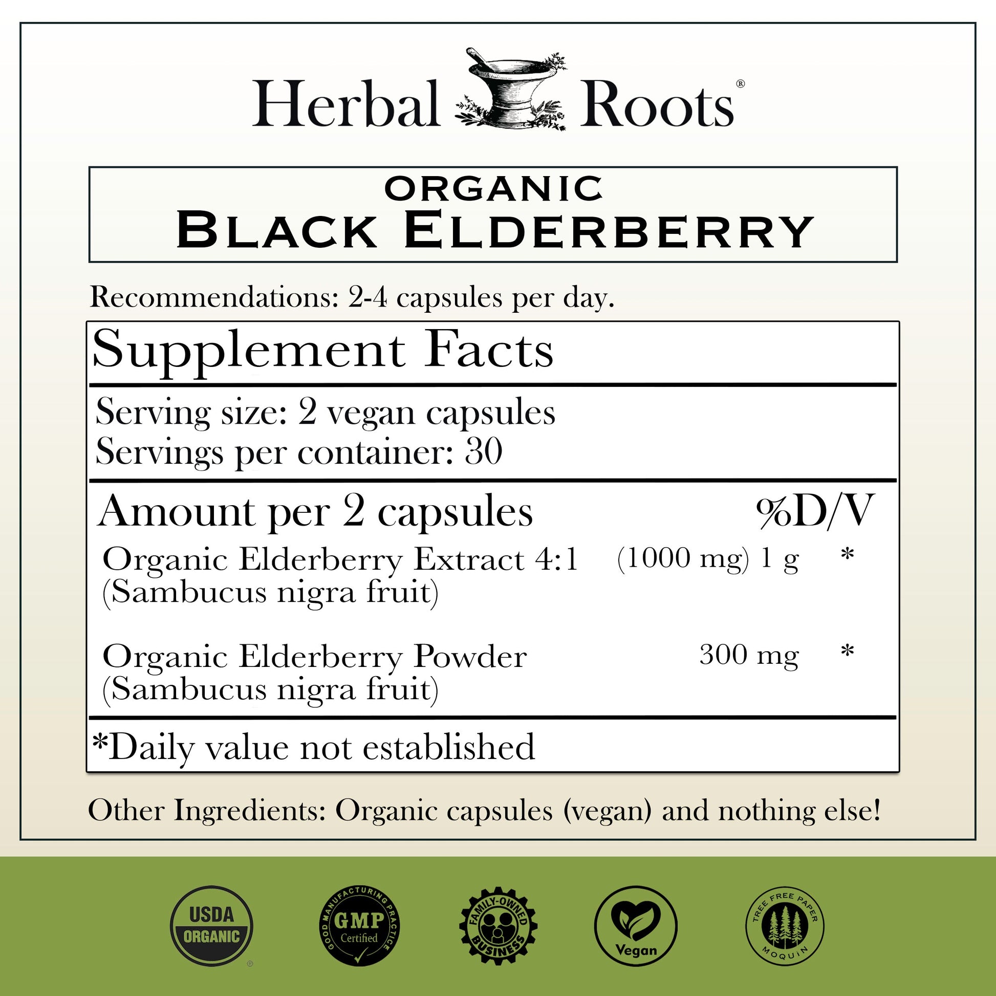 Black Elderberry - Trending Wellness Store