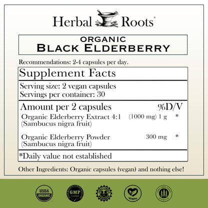 Black Elderberry - Trending Wellness Store