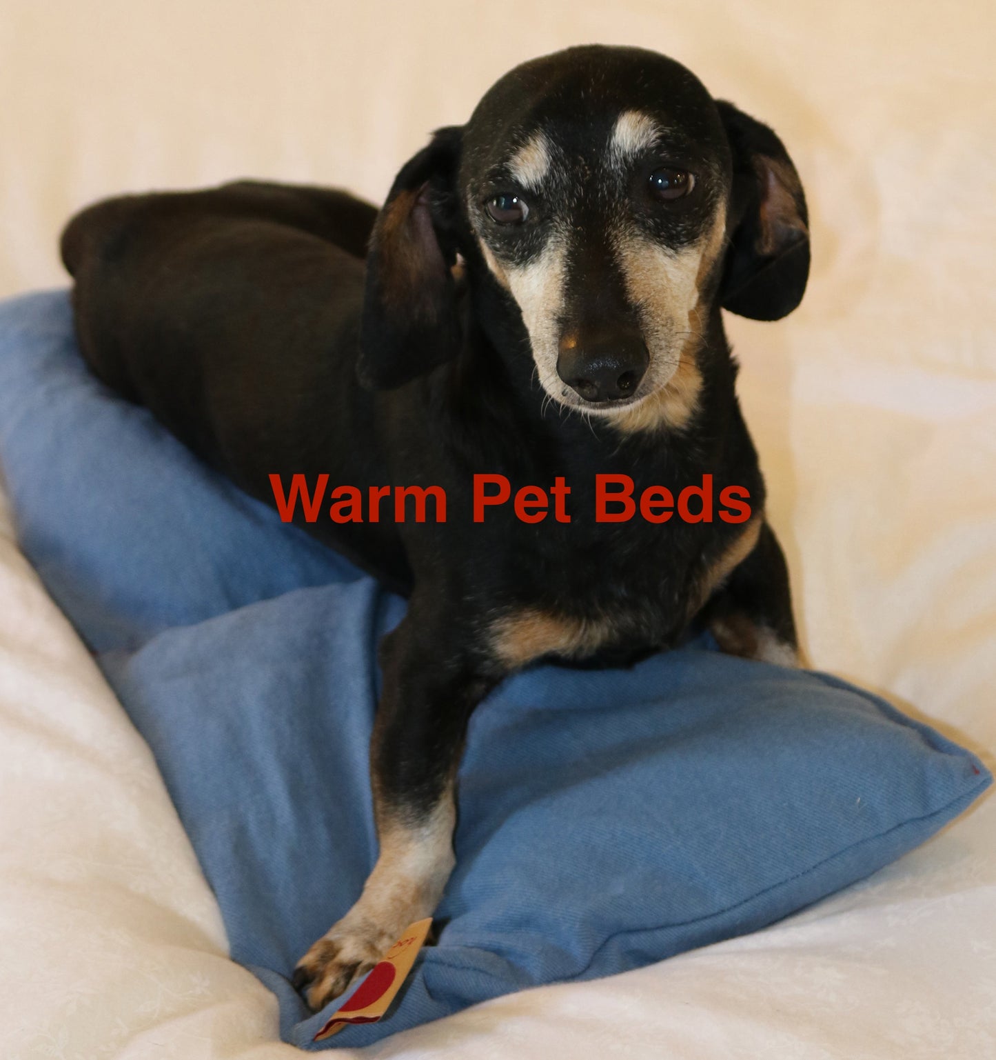 Hot Cherry Double Square Pillow in Blue Denim - Trending Wellness Store