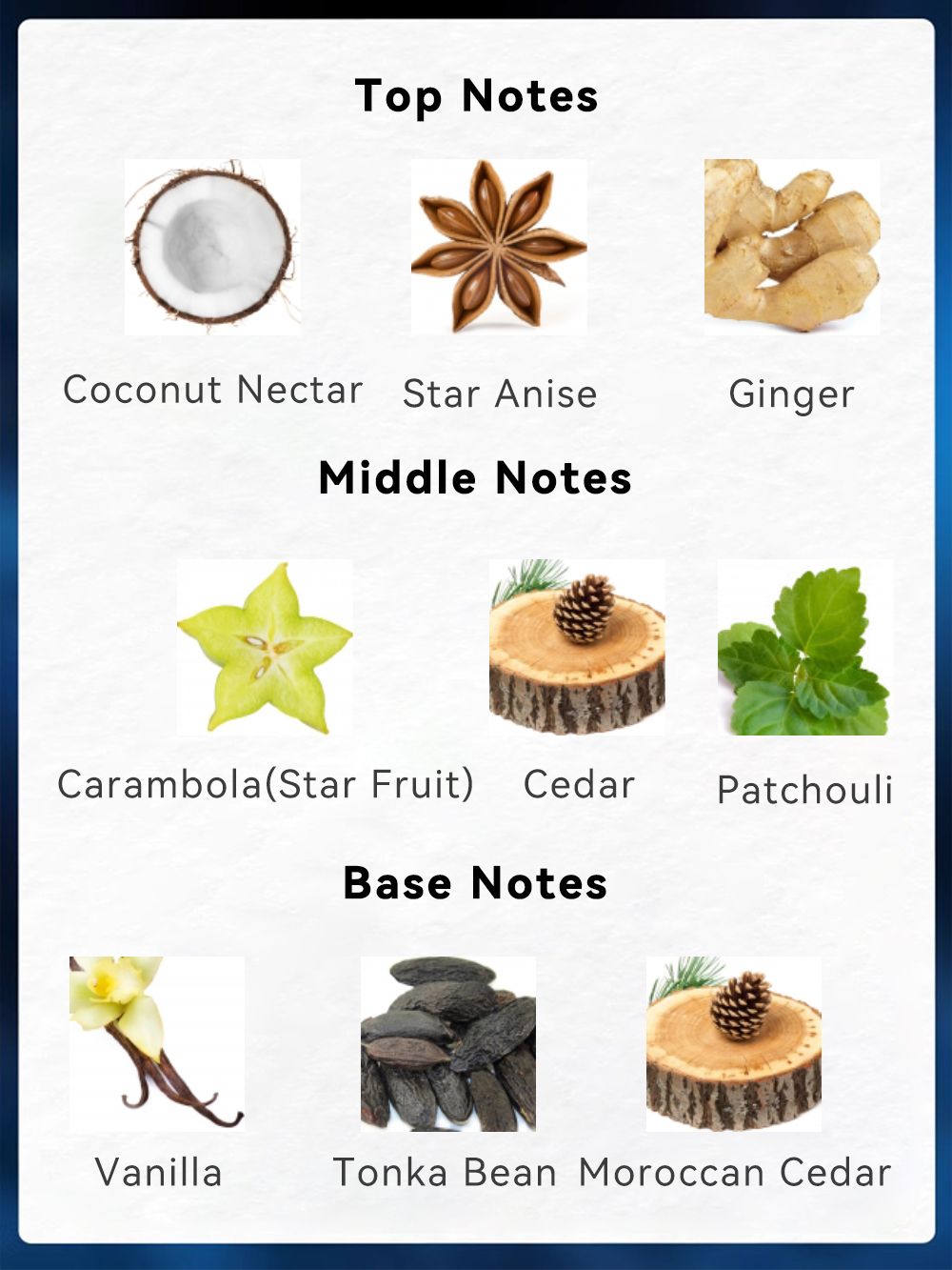 Trending Wellness Store